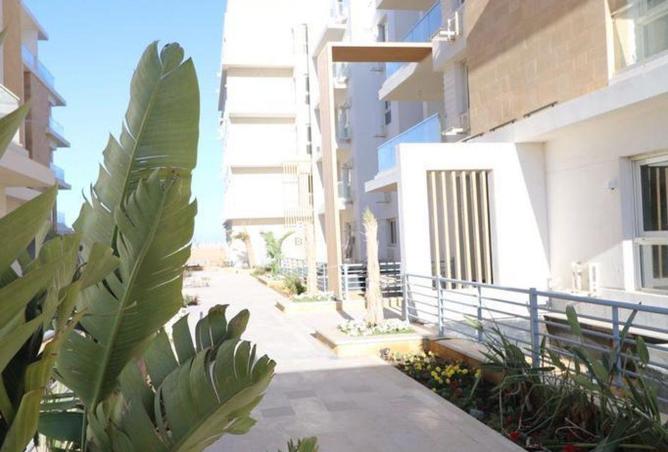 8579813 - صورة العقار 3