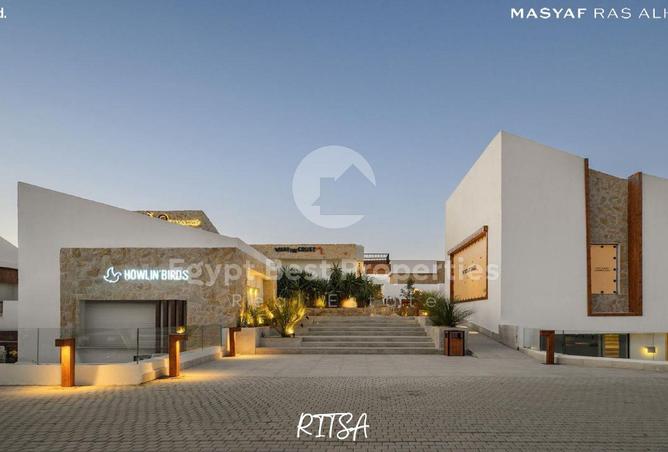 81315717 - Property Image 2
