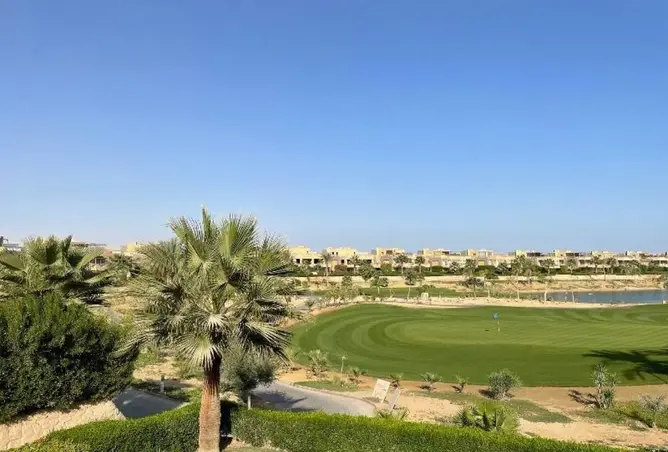 113545362 - صورة العقار 3