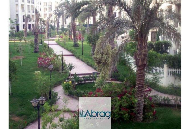 55753846 - Property Image 2