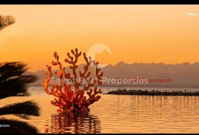 84248175 - صورة العقار 3