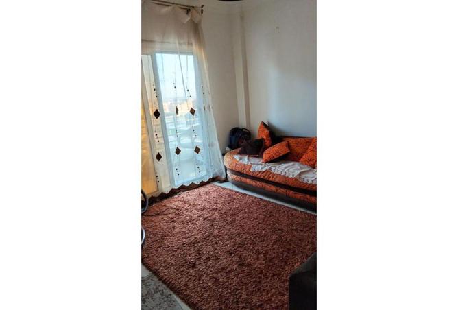 66174944 - Property Image 3