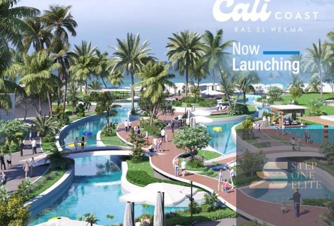 67479455 - Property Image 3