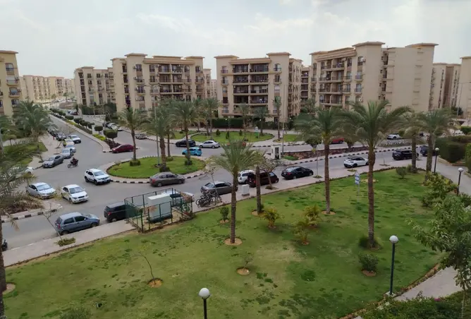 118037125 - صورة العقار 3