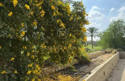 Villa - 7+ Bedrooms - 7+ Bathrooms for sale in Katameya Dunes - El Katameya Compounds - El Katameya - New Cairo City - Cairo