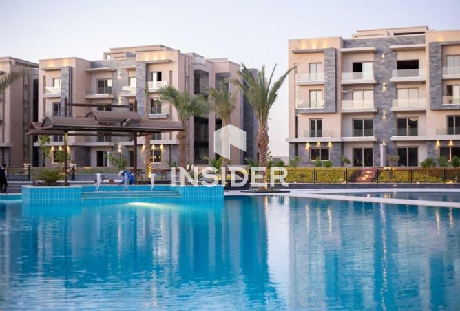 62411630 - Property Image 3