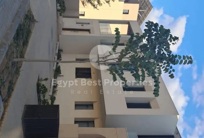 116497409 - صورة العقار 2