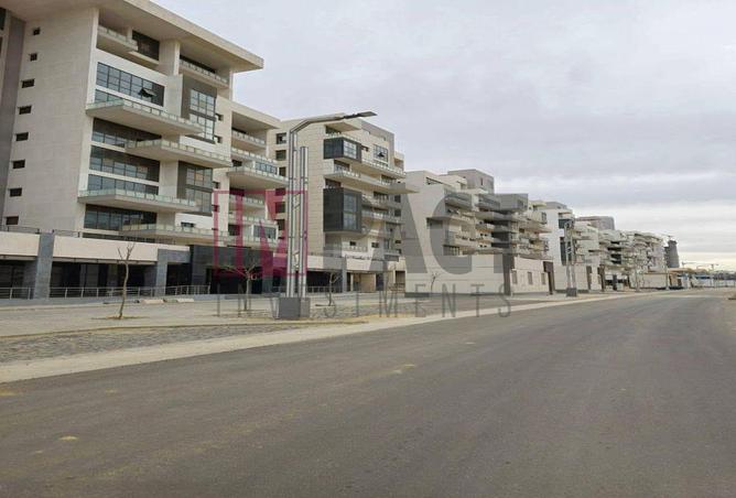 56994492 - Property Image 3