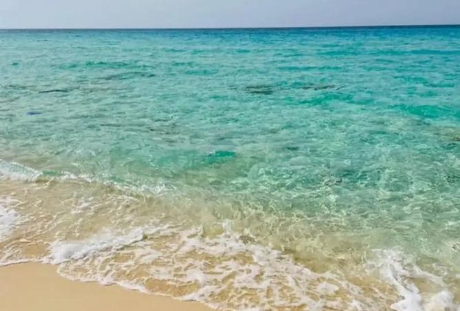 105172699 - صورة العقار 3