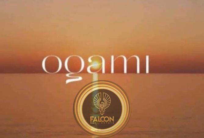 65156662 - صورة العقار 3