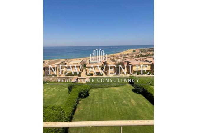 56509725 - Property Image 2