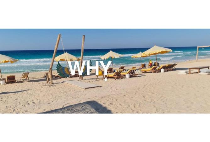 64135532 - Property Image 2