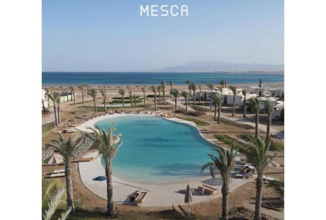 59752201 - صورة العقار 2