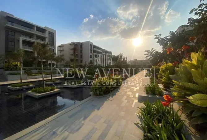 113531998 - Property Image 3