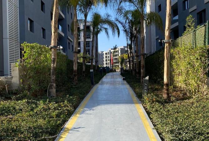 58740881 - صورة العقار 3