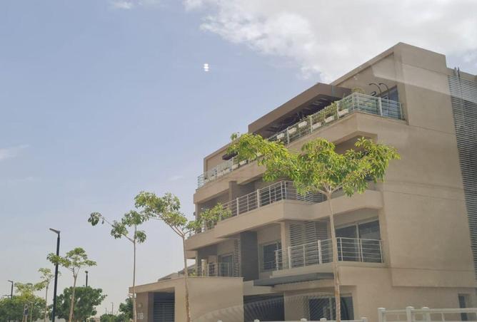 8638729 - Property Image 3