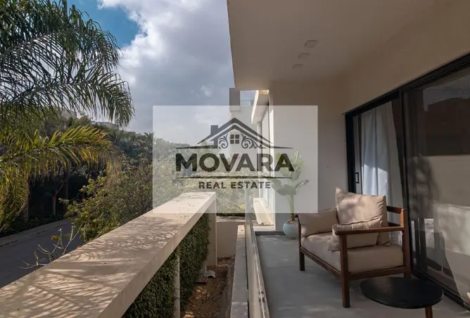 116236832 - Property Image 2