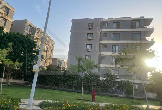 83678869 - صورة العقار 3