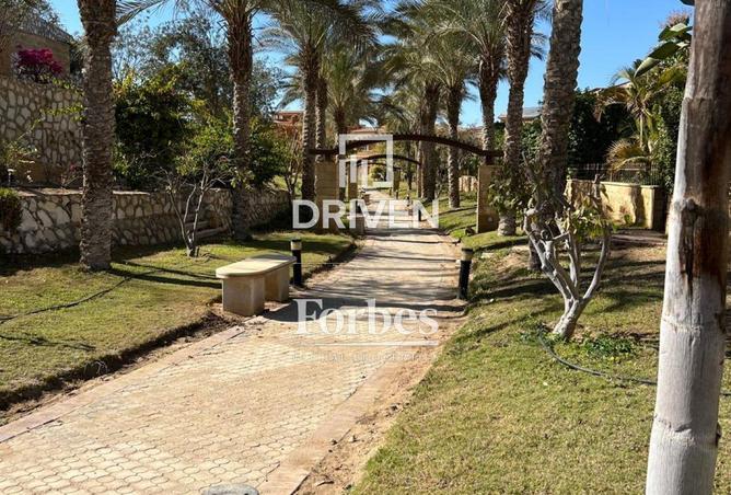 58999126 - صورة العقار 2