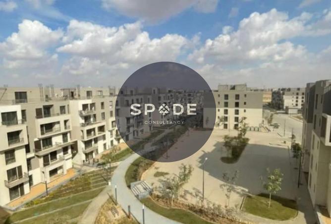 79728853 - Property Image 3