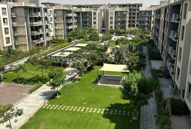 113818167 - Property Image 2