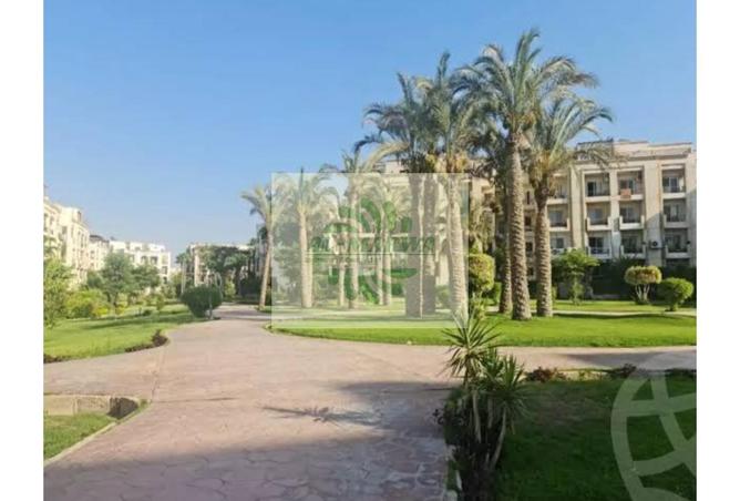 66696625 - صورة العقار 3