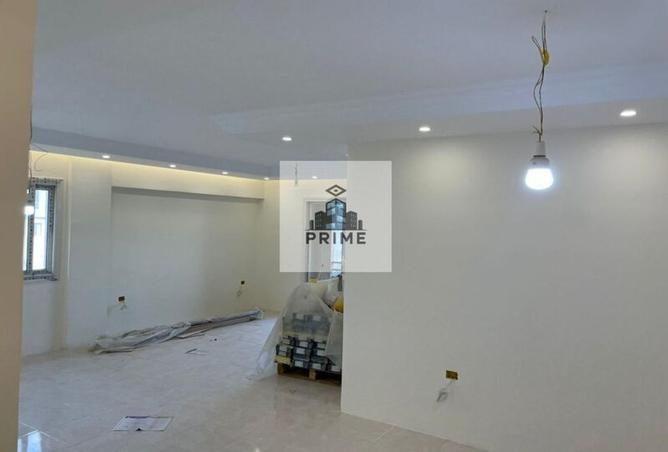 70355006 - Property Image 3