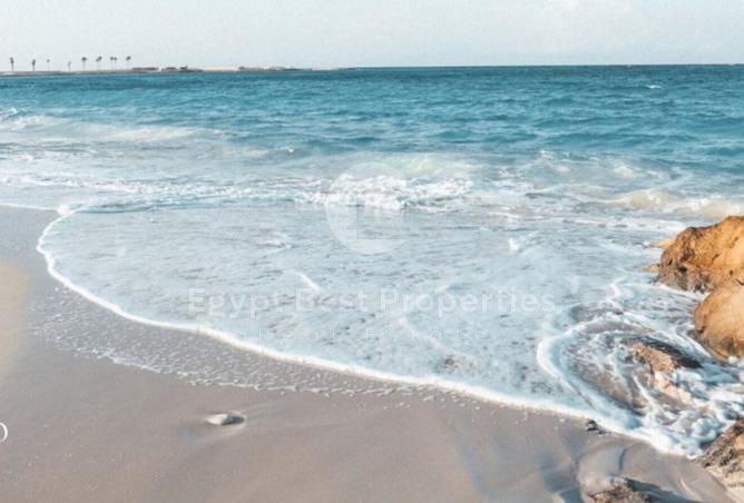 59241372 - Property Image 3