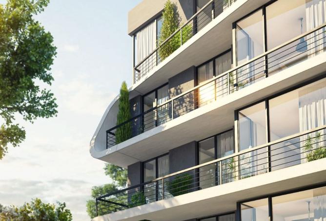 8427991 - Property Image 3