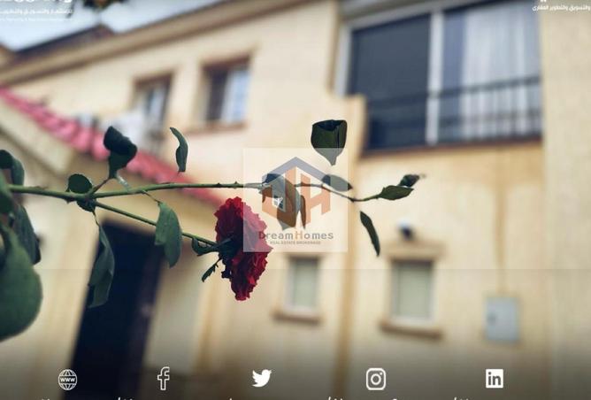 56494629 - Property Image 3