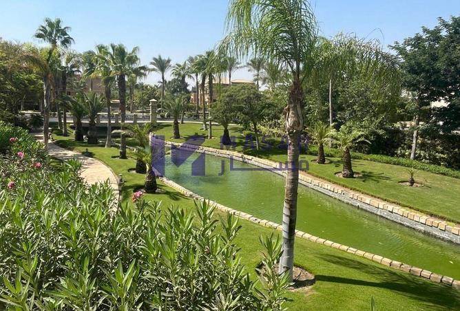 61439987 - Property Image 3