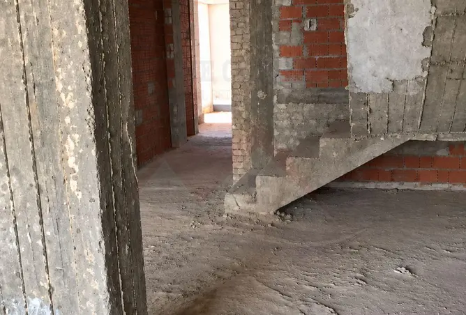 113258898 - Property Image 2