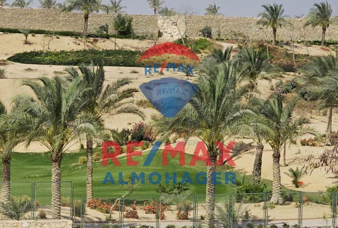 100640978 - صورة العقار 3