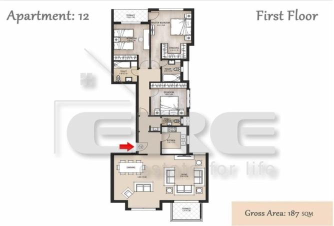 67735532 - صورة العقار 2