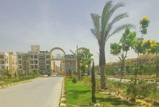 68797991 - صورة العقار 3