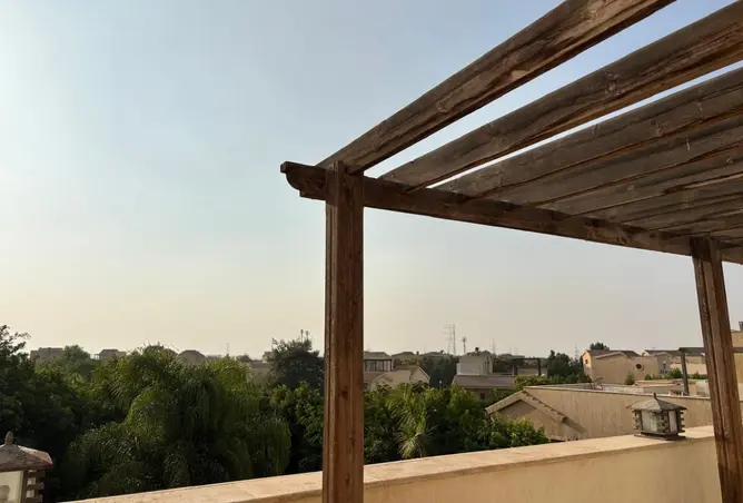 118813650 - صورة العقار 3