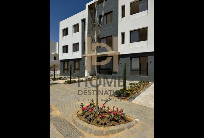 55994785 - Property Image 3