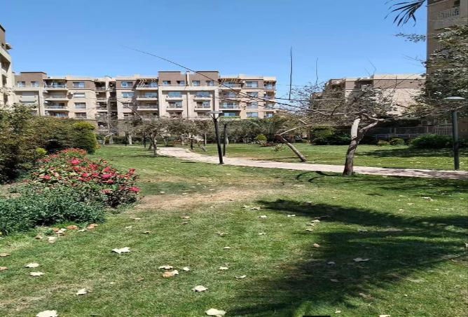 85600469 - الصورة الرئيسية للعقار
