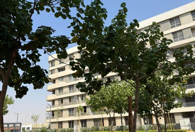 65164537 - صورة العقار 3