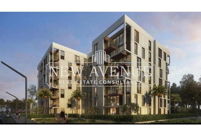 58981679 - Property Image 3