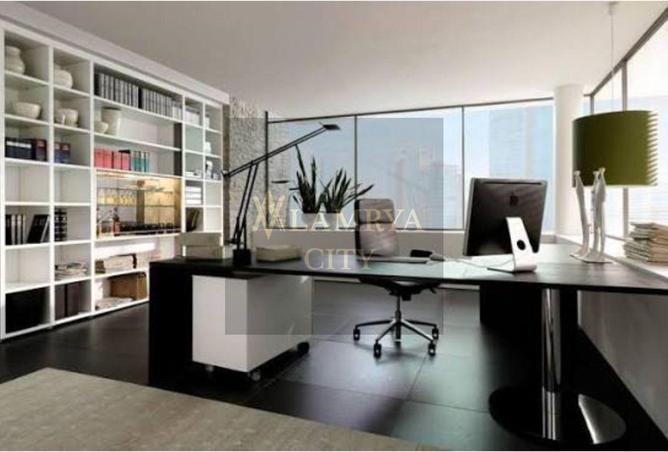 8595468 - Property Image 3