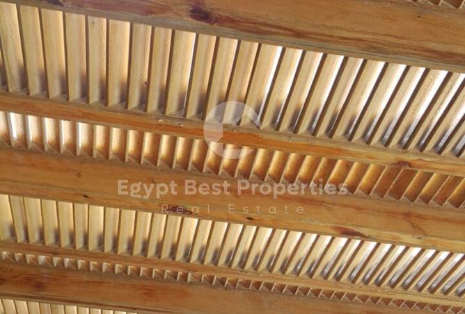 64387158 - صورة العقار 3