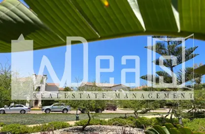 فيلا - 5 غرف نوم - 5 حمامات للبيع في مراسي - سيدي عبد الرحمن - الساحل الشمالي