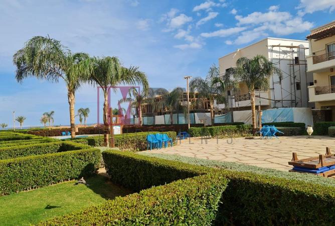 64900748 - صورة العقار 2