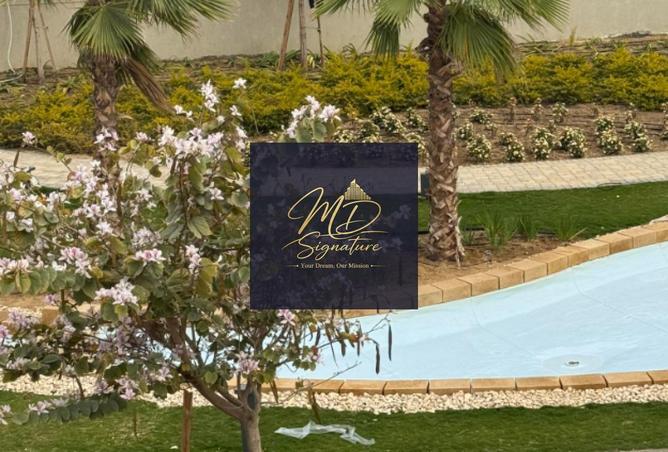 66433386 - صورة العقار 3