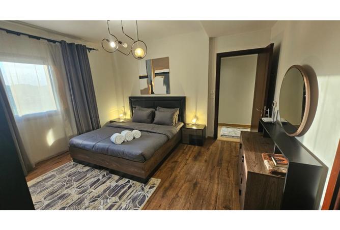 102071886 - Property Image 2