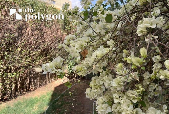 75676147 - صورة العقار 2