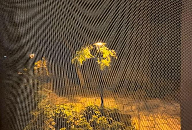 82876726 - صورة العقار 3