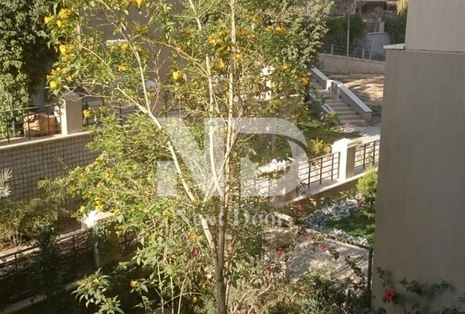 66961077 - صورة العقار 3