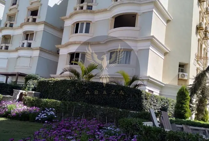 117535416 - Property Image 3